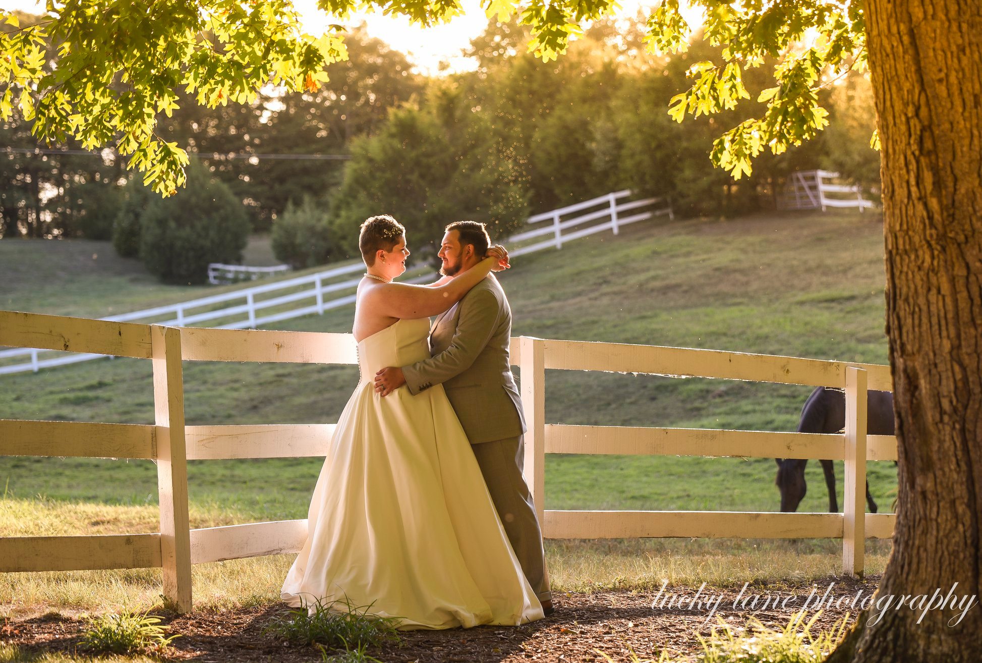 Bride and groom pose in front of pasture during sunset.