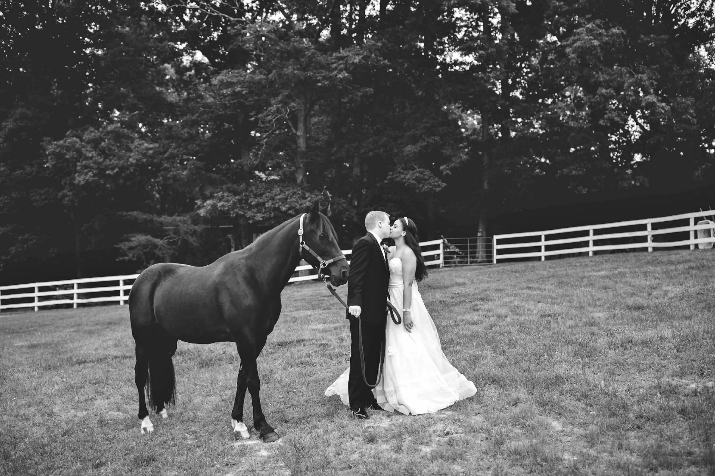 Bride and groom kiss while holding onto Lee, a black horse.